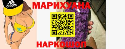 mdpv Краснознаменск